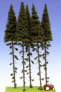 Spruce with trunk 300 mm (5x)