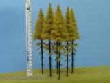 Larch  with trunk - autumn 180-220 mm (5x)
