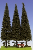 Spruce with short trunk 230-270 mm (3x)