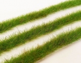 Long grass strips - Spring