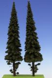Spruce with short trunk 300mm (2x)