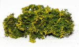Flowering shrubs – Yellow