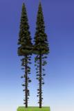 Spruce with trunk 500 mm (2x)