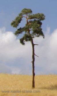 Pine-tree 80-110mm (3x)
