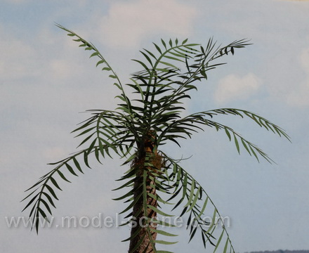 Palm leaves - type I., green