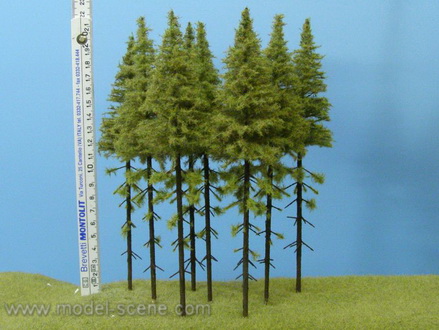 Larch  with trunk 180-220 mm (5x)