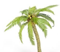 Palm  Leaves (1:45 - 1:72)