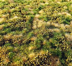 Spring meadow with bushes and dry turfs