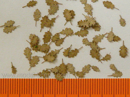 Oak - dry leaves 1:48