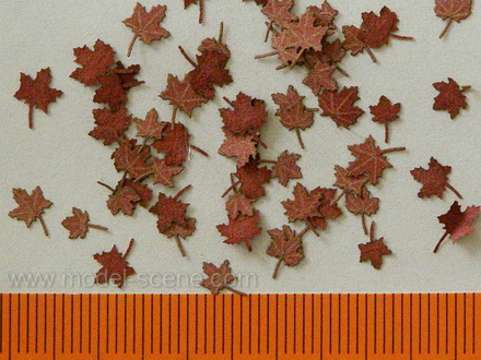 Maple - dry leaves (red colour) 1:72/87