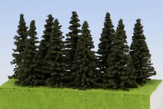 Spruce 50 mm (9x)