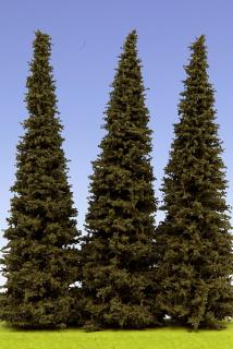 Spruce 200 mm (3x)