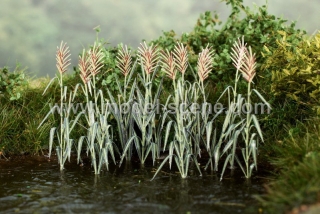 Reeds (1:72 / 1:87)