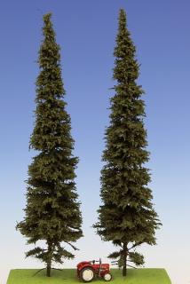 Spruce with short trunk 300 mm (2x)