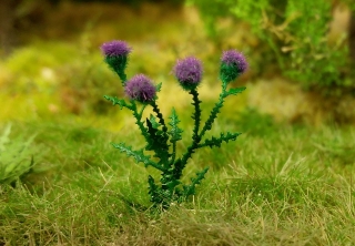 Thistle 1:32 / 1:35