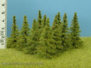 Larch 40-60 mm (9x)