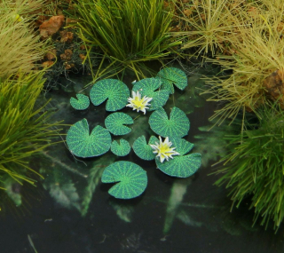 Waterlily (1:72 / 1:87)