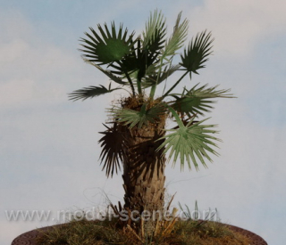 Palm leaves - type II., dry